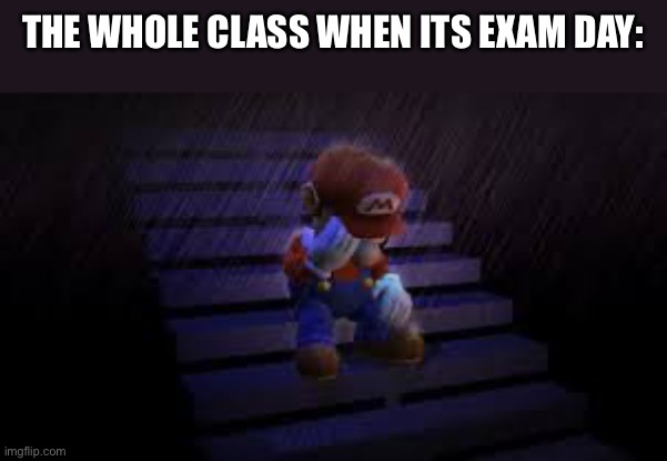 Sad mario | THE WHOLE CLASS WHEN ITS EXAM DAY: | image tagged in sad mario | made w/ Imgflip meme maker