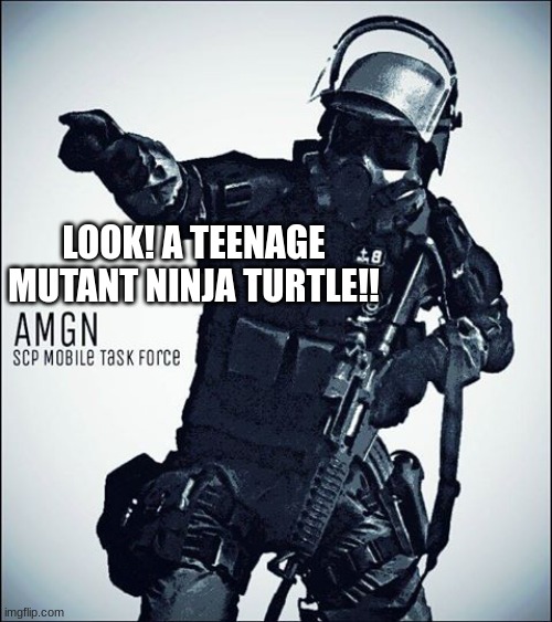 MTF-SCP | LOOK! A TEENAGE MUTANT NINJA TURTLE!! | image tagged in mtf-scp | made w/ Imgflip meme maker