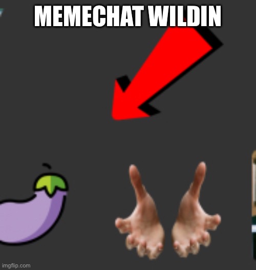 MEMECHAT WILDIN | made w/ Imgflip meme maker