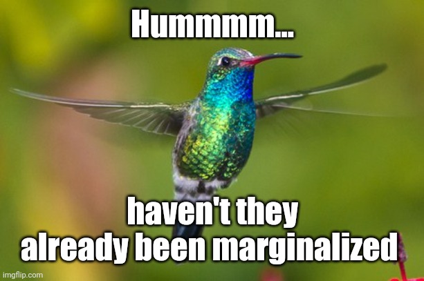 Hummmm... haven't they already been marginalized | image tagged in hummingbird | made w/ Imgflip meme maker