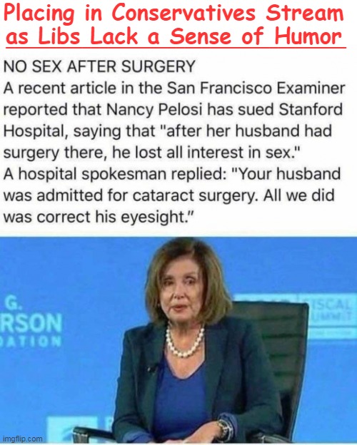 Nasty Nancy | Placing in Conservatives Stream 
as Libs Lack a Sense of Humor; ________________________________________ | image tagged in political humor,nancy pelosi,joke,sex,no sex,funny | made w/ Imgflip meme maker