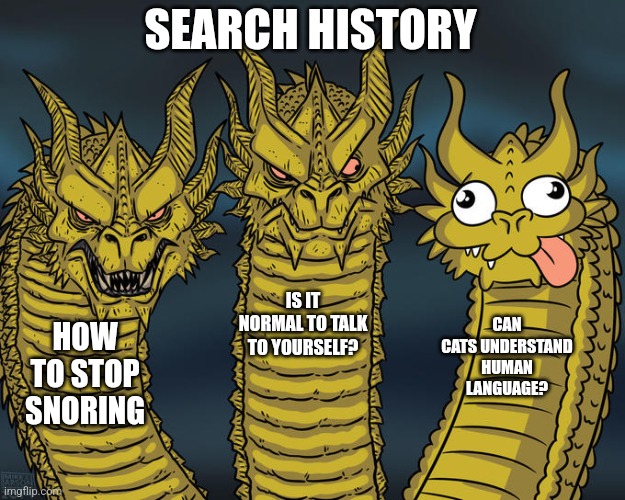 Three-headed Dragon | SEARCH HISTORY; IS IT NORMAL TO TALK TO YOURSELF? CAN CATS UNDERSTAND HUMAN LANGUAGE? HOW TO STOP SNORING | image tagged in three-headed dragon | made w/ Imgflip meme maker