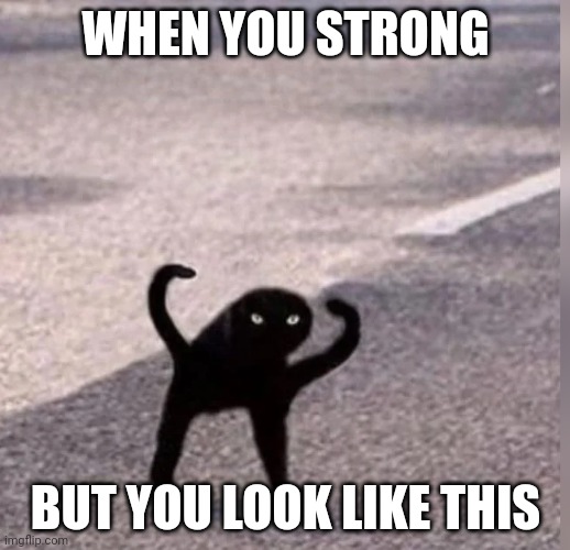 when you strong | WHEN YOU STRONG; BUT YOU LOOK LIKE THIS | image tagged in cursed cat | made w/ Imgflip meme maker