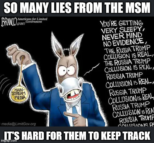 SO MANY LIES FROM THE MSM IT'S HARD FOR THEM TO KEEP TRACK | made w/ Imgflip meme maker