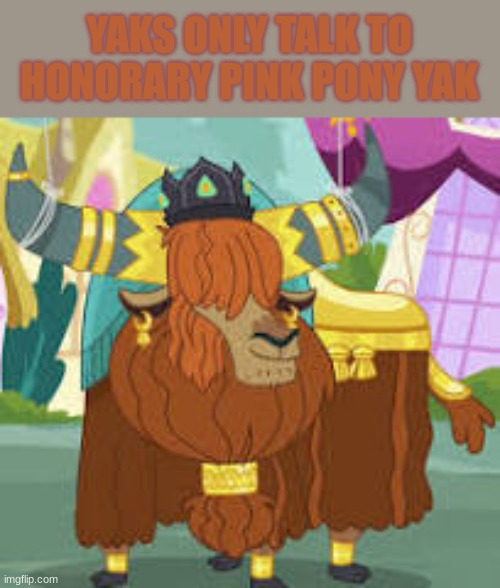 YAKS ONLY TALK TO HONORARY PINK PONY YAK | made w/ Imgflip meme maker