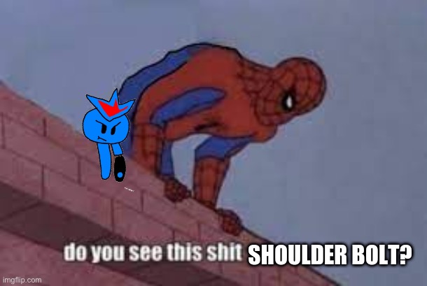Do you see this shit bolt | image tagged in do you see this shit bolt | made w/ Imgflip meme maker