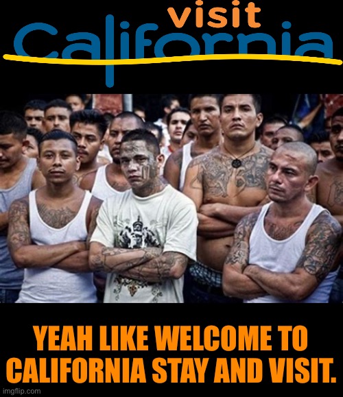 Cali vacation and tourism board | YEAH LIKE WELCOME TO CALIFORNIA STAY AND VISIT. | image tagged in democrats,california | made w/ Imgflip meme maker