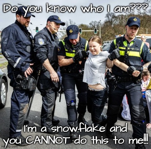 Snowflake with a belly... | Do you know who I am??? I'm a snowflake and you CANNOT do this to me!!! | image tagged in i'm special,you can't do this,get your arm out of my pits | made w/ Imgflip meme maker