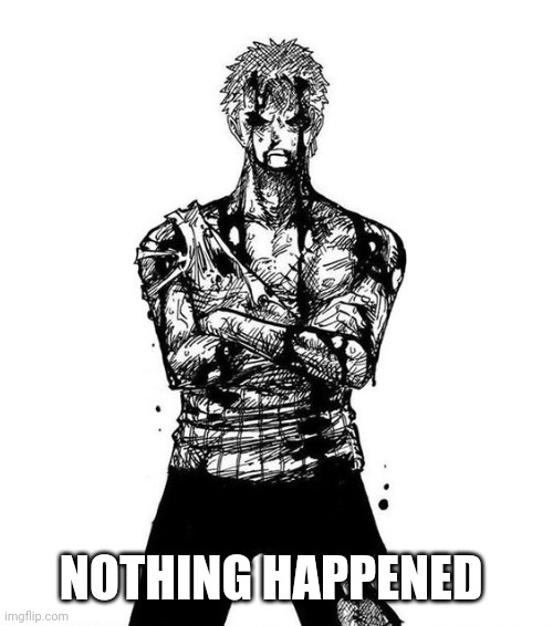 Zoro nothing happened | NOTHING HAPPENED | image tagged in zoro nothing happened | made w/ Imgflip meme maker