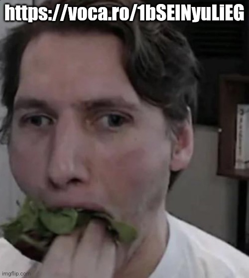 Jerma eating Lettuce | https://voca.ro/1bSElNyuLiEG | image tagged in jerma eating lettuce | made w/ Imgflip meme maker