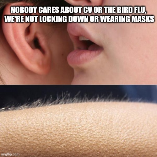 Whisper and Goosebumps | NOBODY CARES ABOUT CV OR THE BIRD FLU, 
WE'RE NOT LOCKING DOWN OR WEARING MASKS | image tagged in whisper and goosebumps,funny memes | made w/ Imgflip meme maker