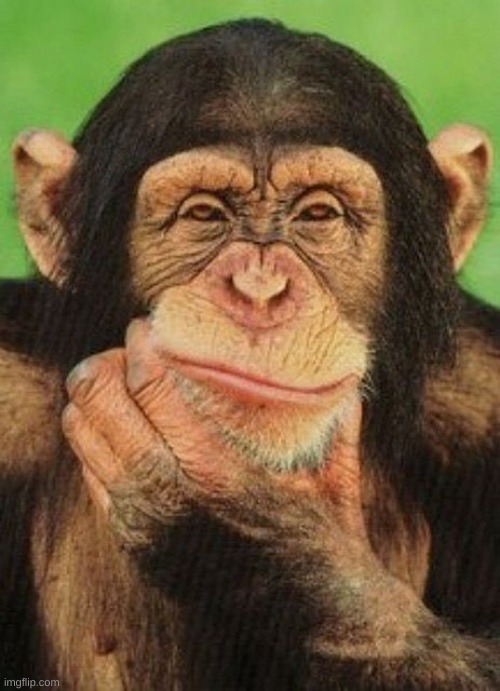Thinking monkey  | image tagged in thinking monkey | made w/ Imgflip meme maker