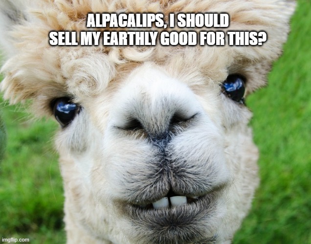 alpaca lips eclipse | ALPACALIPS, I SHOULD SELL MY EARTHLY GOOD FOR THIS? | image tagged in alpaca lips eclipse | made w/ Imgflip meme maker