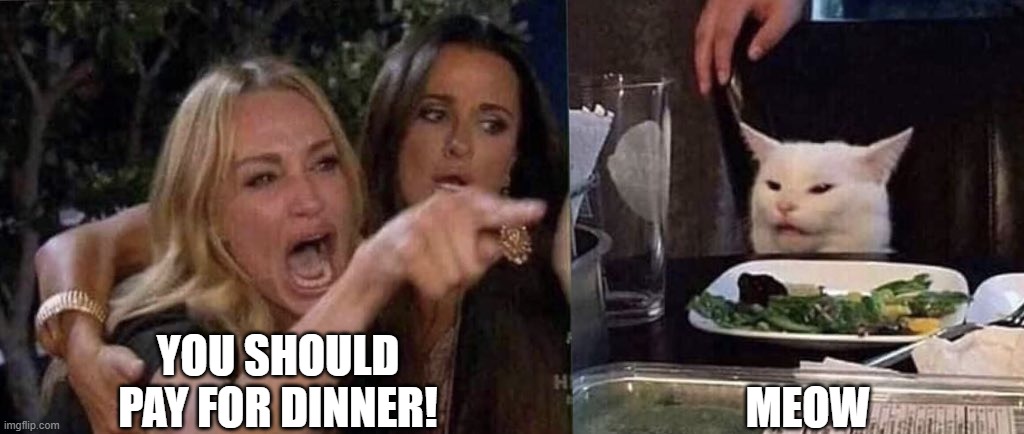 Meow | YOU SHOULD PAY FOR DINNER! MEOW | image tagged in woman yelling at cat | made w/ Imgflip meme maker