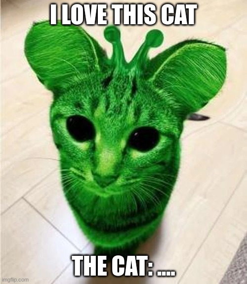 a cat from space | I LOVE THIS CAT; THE CAT: .... | image tagged in memes | made w/ Imgflip meme maker