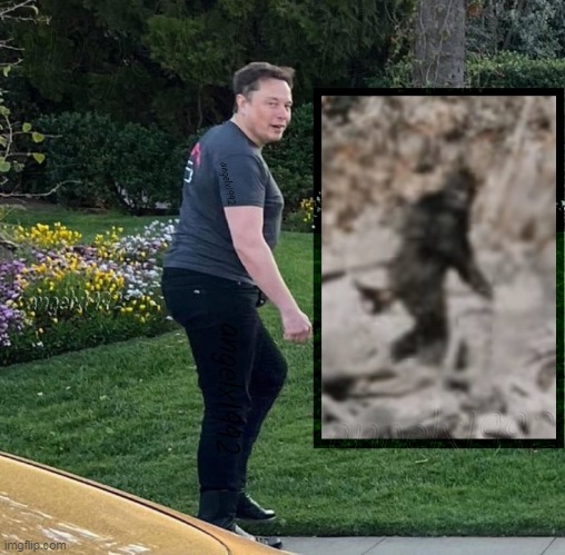 image tagged in bigfoot,elon musk,sasquatch,monster,fraud,cryptozoology | made w/ Imgflip meme maker