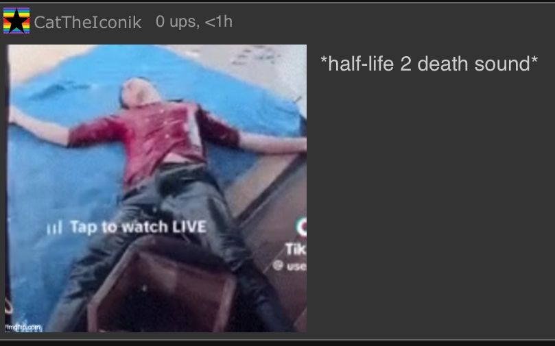 half life 2 death noise Blank Meme Template