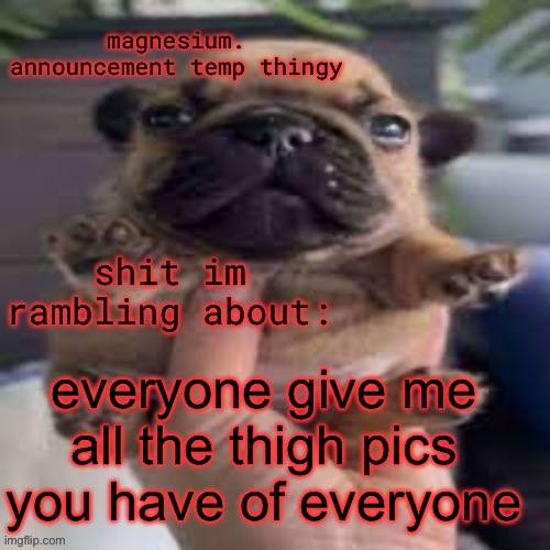 IM JUST CURIOUS. PLEASE BELIEVE ME. I will also rank them | everyone give me all the thigh pics you have of everyone | image tagged in pug temp | made w/ Imgflip meme maker