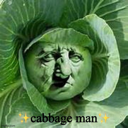 . | ✨cabbage man✨ | image tagged in cabbage face | made w/ Imgflip meme maker