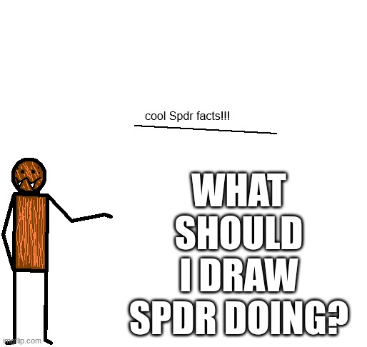 cool spdr facts | WHAT SHOULD I DRAW SPDR DOING? | image tagged in cool spdr facts | made w/ Imgflip meme maker