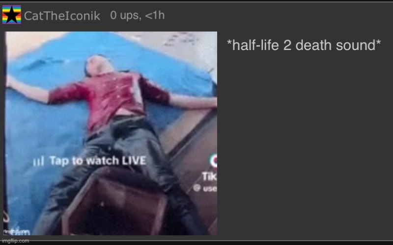 half life 2 death noise | image tagged in half life 2 death noise | made w/ Imgflip meme maker