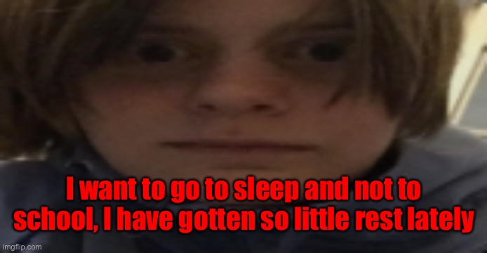 DarthSwede silly serious face | I want to go to sleep and not to school, I have gotten so little rest lately | image tagged in darthswede silly serious face | made w/ Imgflip meme maker
