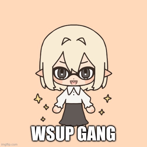 WSUP GANG | made w/ Imgflip meme maker