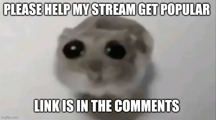 Sad Hamster | PLEASE HELP MY STREAM GET POPULAR; LINK IS IN THE COMMENTS | image tagged in sad hamster | made w/ Imgflip meme maker