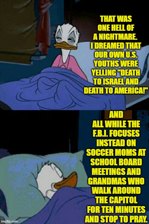 Give those leftist youngsters something 'in your face' to complain about, and restart the military draft. | THAT WAS ONE HELL OF A NIGHTMARE.  I DREAMED THAT OUR OWN U.S. YOUTHS WERE YELLING "DEATH TO ISRAEL AND DEATH TO AMERICA!"; AND ALL WHILE THE F.B.I. FOCUSES INSTEAD ON SOCCER MOMS AT SCHOOL BOARD MEETINGS AND GRANDMAS WHO WALK AROUND THE CAPITOL FOR TEN MINUTES AND STOP TO PRAY. | image tagged in sleepy donald duck in bed | made w/ Imgflip meme maker