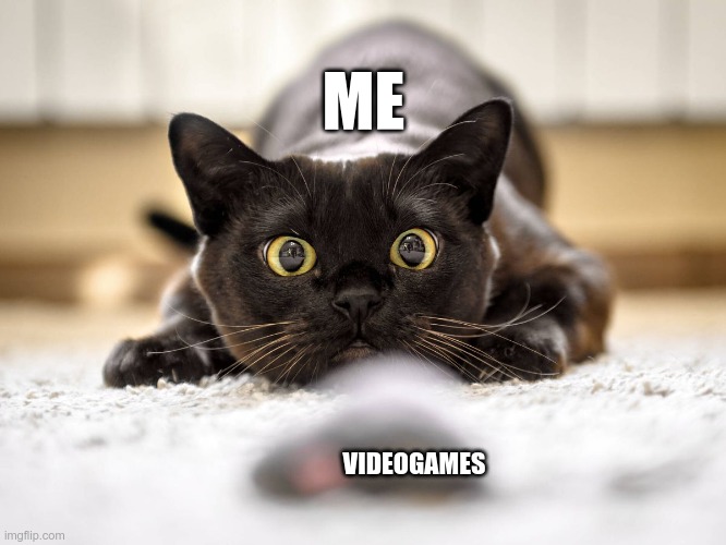 yu | ME; VIDEOGAMES | image tagged in face you make robert downey jr | made w/ Imgflip meme maker