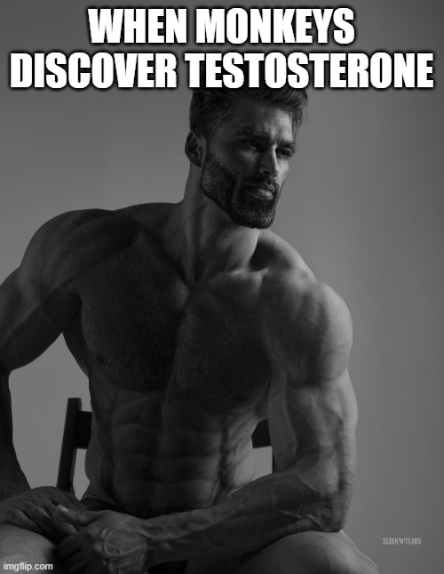 Giga Chad | WHEN MONKEYS DISCOVER TESTOSTERONE | image tagged in giga chad | made w/ Imgflip meme maker