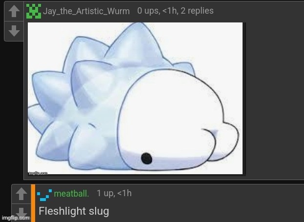 Slug | image tagged in slug,cursed,comments | made w/ Imgflip meme maker