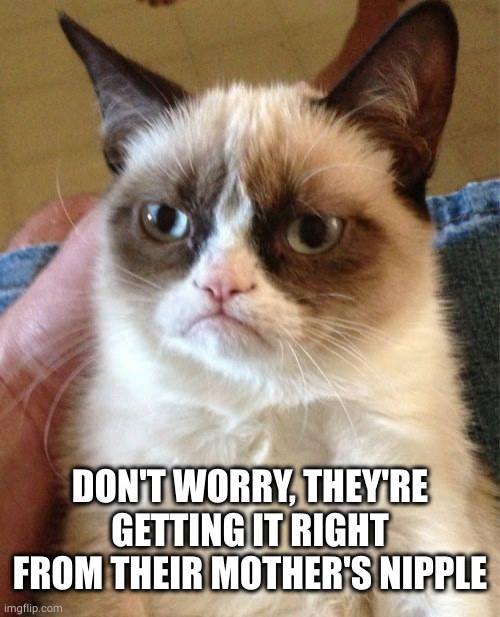 Grumpy Cat Meme | DON'T WORRY, THEY'RE GETTING IT RIGHT FROM THEIR MOTHER'S NIPPLE | image tagged in memes,grumpy cat | made w/ Imgflip meme maker