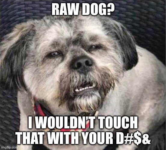 Raw Dog? | RAW DOG? I WOULDN’T TOUCH THAT WITH YOUR D#$& | image tagged in confused dog,dog | made w/ Imgflip meme maker