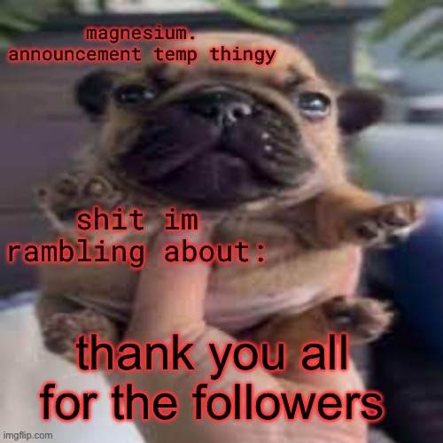 ik this is out of no where but i js wanted to thank everyone | thank you all for the followers | image tagged in pug temp | made w/ Imgflip meme maker