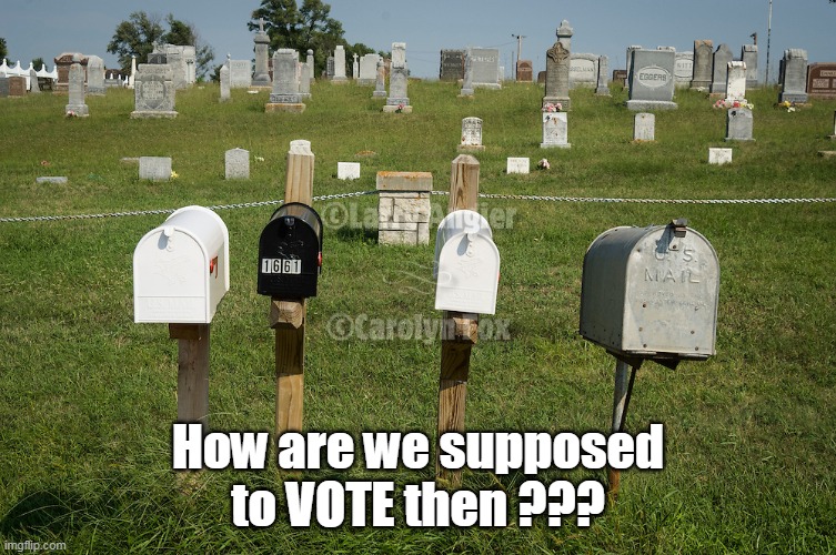 How are we supposed to VOTE then ??? | made w/ Imgflip meme maker