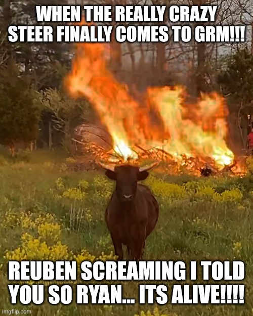 Fire Cow | WHEN THE REALLY CRAZY STEER FINALLY COMES TO GRM!!! REUBEN SCREAMING I TOLD YOU SO RYAN... ITS ALIVE!!!! | image tagged in fire cow | made w/ Imgflip meme maker