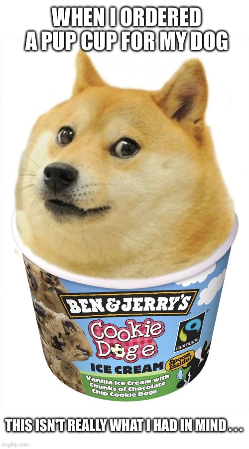 Pup cups | WHEN I ORDERED A PUP CUP FOR MY DOG; THIS ISN'T REALLY WHAT I HAD IN MIND . . . | image tagged in ice cream doge,doge,dog,dogs,pup cups,expectation vs reality | made w/ Imgflip meme maker