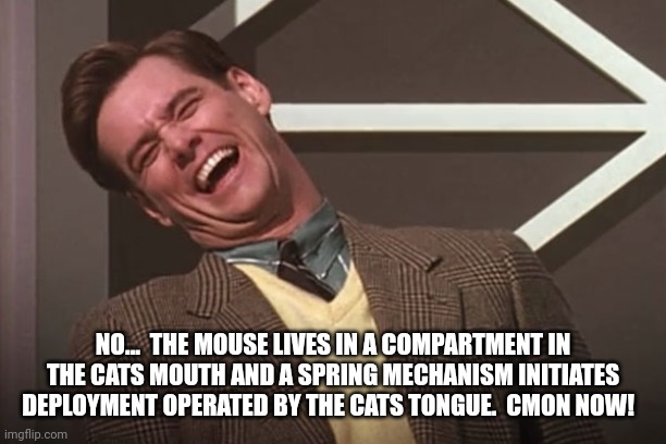 Jim Carrey | NO...  THE MOUSE LIVES IN A COMPARTMENT IN THE CATS MOUTH AND A SPRING MECHANISM INITIATES DEPLOYMENT OPERATED BY THE CATS TONGUE.  CMON NOW | image tagged in jim carrey | made w/ Imgflip meme maker