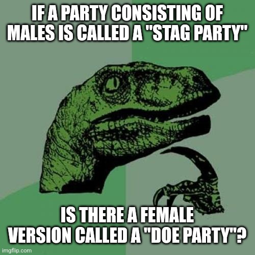 Philosoraptor Meme | IF A PARTY CONSISTING OF MALES IS CALLED A "STAG PARTY"; IS THERE A FEMALE VERSION CALLED A "DOE PARTY"? | image tagged in memes,philosoraptor | made w/ Imgflip meme maker