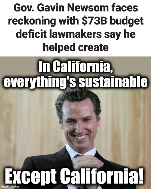 Insane, unsustainable, out-of-control spending | In California, everything's sustainable; Except California! | image tagged in scheming gavin newsom,california,democrats,government spending,memes,sustainable | made w/ Imgflip meme maker