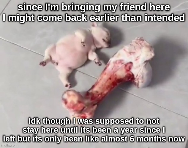 The fetus being sacrificed as a offering for Araki of Jojo | since I'm bringing my friend here I might come back earlier than intended; idk though I was supposed to not stay here until its been a year since I left but its only been like almost 6 months now | image tagged in the fetus being sacrificed as a offering for araki of jojo | made w/ Imgflip meme maker