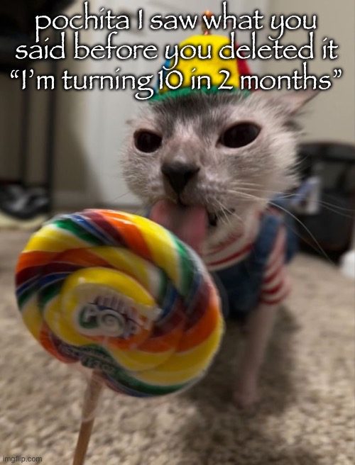 silly goober | pochita I saw what you said before you deleted it “I’m turning 10 in 2 months” | image tagged in silly goober | made w/ Imgflip meme maker