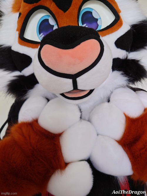 Ginger The Tiger (Sona and suit owned and photographed by AoiTheDragon) | made w/ Imgflip meme maker