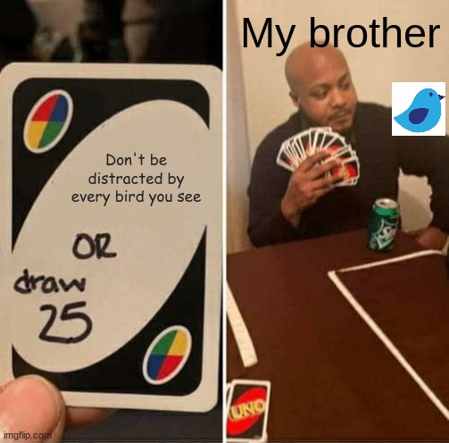 He was too distracted to notice | My brother; Don't be distracted by every bird you see | image tagged in memes,uno draw 25 cards | made w/ Imgflip meme maker