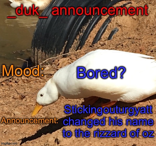 Bored? Stickingouturgyatt changed his name to the rizzard of oz | image tagged in _duk_ announcement template | made w/ Imgflip meme maker