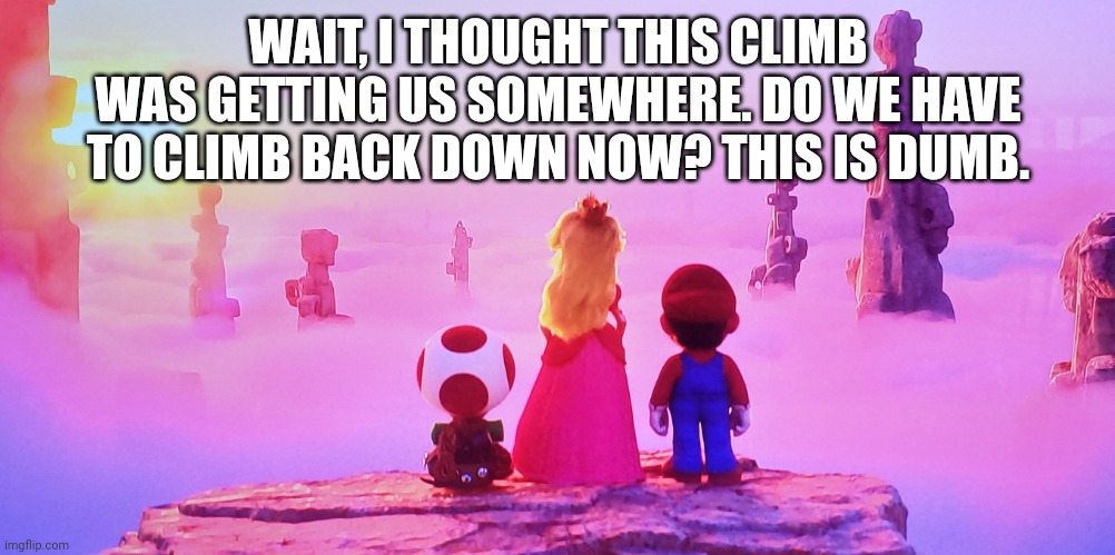 Super Mario Vista | WAIT, I THOUGHT THIS CLIMB WAS GETTING US SOMEWHERE. DO WE HAVE TO CLIMB BACK DOWN NOW? THIS IS DUMB. | image tagged in super mario vista | made w/ Imgflip meme maker