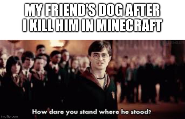 the dog wants revenge | MY FRIEND’S DOG AFTER I KILL HIM IN MINECRAFT | image tagged in how dare you stand where he stood,memes,gaming,minecraft,dogs | made w/ Imgflip meme maker