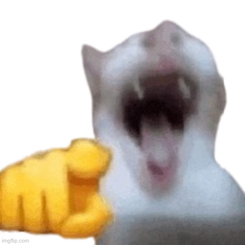 laughing cat | image tagged in laughing cat | made w/ Imgflip meme maker