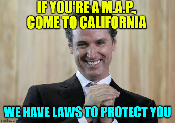 Scheming Gavin Newsom  | IF YOU'RE A M.A.P., COME TO CALIFORNIA WE HAVE LAWS TO PROTECT YOU | image tagged in scheming gavin newsom | made w/ Imgflip meme maker